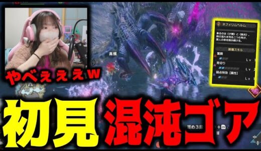 アプデ新モンスターに大興奮＆新装備に驚くあまみ【サンブレイク】