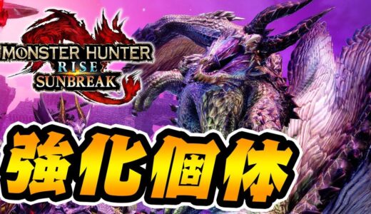 新イベクエが超火力すぎるんだがｗｗｗ【モンハンサンブレイク】