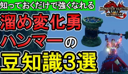 【サンブレイク】溜め変化勇ハンマーの立ち回りに関する豆知識３選！ 知ってるだけで強くなれます【モンハンライズ】