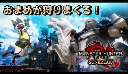 【モンハンライズサンブレイク】傀異クエストやる！