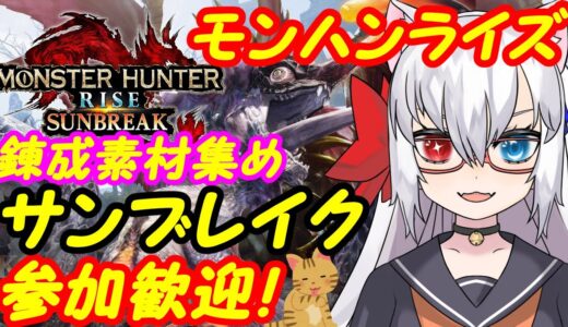 【サンブレイク募集中】モンスターハンターライズ参加歓迎！165【VTuber】