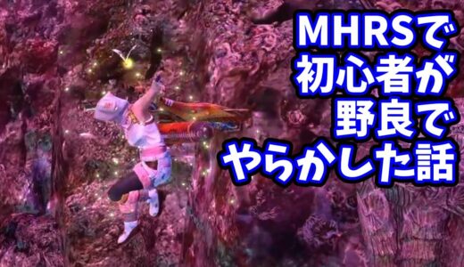 【MHRS】初心者が野良でやらかした話【モンスターハンターライズ：サンブレイク】