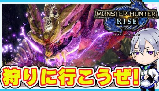 【MONSTER HUNTER RISE】夜中から始めるモンハンライズ！PC版ソロ配信