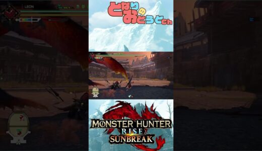 【Monster Hunter SunBreak】写真家ハンターの奮闘記　【モンハン】【モンスターハンターライズ】【サンブレイク】【となおとCh】#Shorts