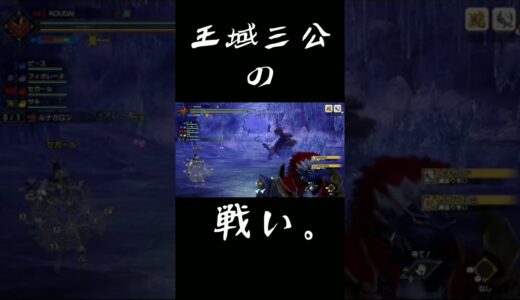 [モンハン]王域三公の戦い。[モンスターハンターライズサンブレイク] #Shorts #モンハンライズサンブレイク #MHサンブレイク #MHRSB