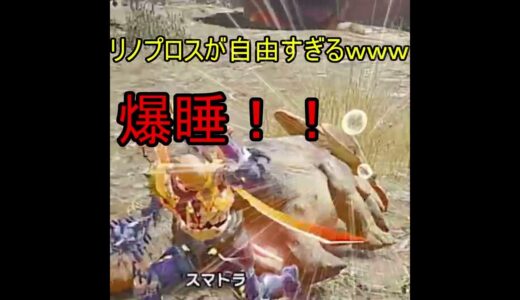 【モンスターハンターライズサンブレイク】ラングロトラ戦にてリノプロスが自由すぎる