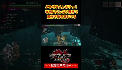 モンハンライズ サンブレイク　気持ちのいいプレイ集　スラアク　飛翔竜剣　高難度メルゼナ　　初見討伐　久しぶりに起動してみたら色々と忘れてた件笑