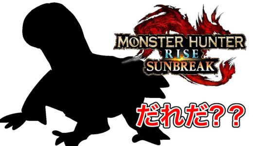 【 モンハンライズ】 最強になる