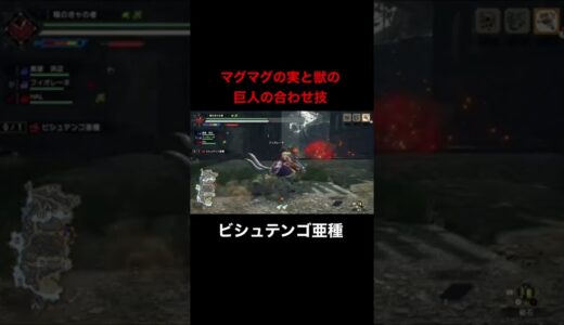 ロギアと獣の合わせ技される(モンスターハンターライズサンブレイク)