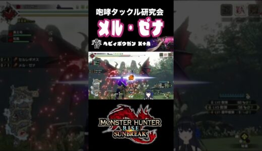【咆哮タックル研究会】メル・ゼナ【モンハンライズ サンブレイク】