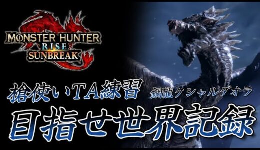 【モンハンライズ・サンブレイク】＃165　録画ボタンを忘れて絶望したなら記録更新すれば良いじゃない！