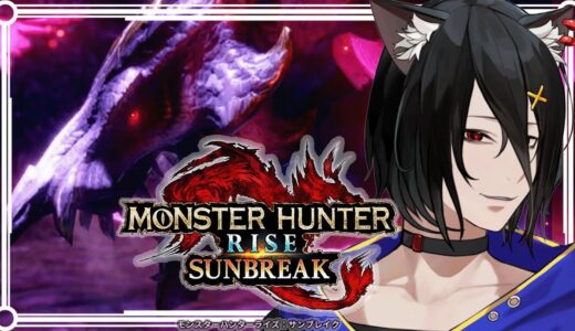 【モンハンライズサンブレイク】アプデ第3弾をやってみたい！ネタバレあり【おうかみ/ぶいせん】