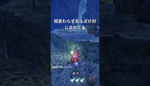 相変わらずおふざけ封じの母ちゃん【MHR:SBモンスターハンターライズサンブレイク】