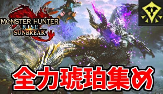 【サンブレイク】ナスバゼで琥珀カンストを目指す。質問歓迎 / 部屋立て〇【MHR:SB/モンスターハンターライズ switch】