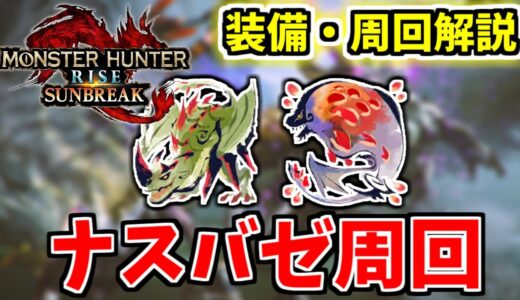 【初心者集まれ！】琥珀最効率「ナスバゼ」を解説しながら周回！質問歓迎 / 部屋立て◎【MHR:SB/モンスターハンターライズサンブレイク switch】