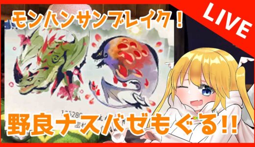 【モンハンサンブレ】野良ナスバゼ！【モンスターハンターライズサンブレイ　MHRise:SunBreak】
