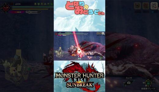 【Monster Hunter SunBreak】写真家ハンターの奮闘記　【モンハン】【モンスターハンターライズ】【サンブレイク】【となおとCh】#Shorts