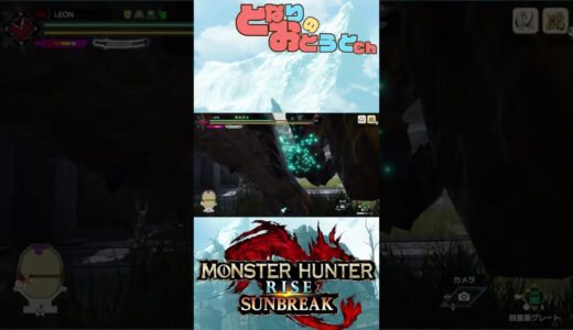 【Monster Hunter SunBreak】写真家ハンターの奮闘記　【モンハン】【モンスターハンターライズ】【サンブレイク】【となおとCh】#Shorts