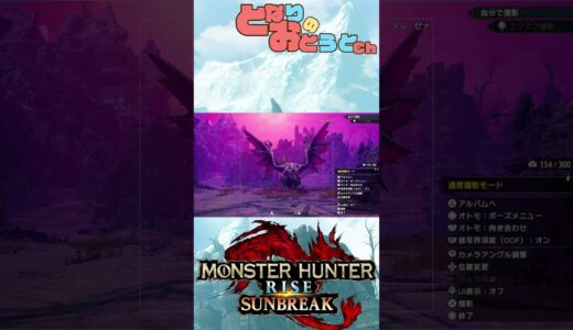 【Monster Hunter SunBreak】写真家ハンターの奮闘記　【モンハン】【モンスターハンターライズ】【サンブレイク】【となおとCh】#Shorts