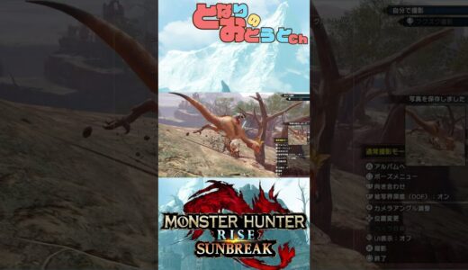 【Monster Hunter SunBreak】写真家ハンターの奮闘記　【モンハン】【モンスターハンターライズ】【サンブレイク】【となおとCh】#Shorts