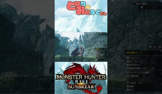 【Monster Hunter SunBreak】写真家ハンターの奮闘記　【モンハン】【モンスターハンターライズ】【サンブレイク】【となおとCh】#Shorts