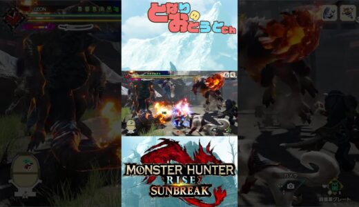 【Monster Hunter SunBreak】写真家ハンターの奮闘記　【モンハン】【モンスターハンターライズ】【サンブレイク】【となおとCh】#Shorts