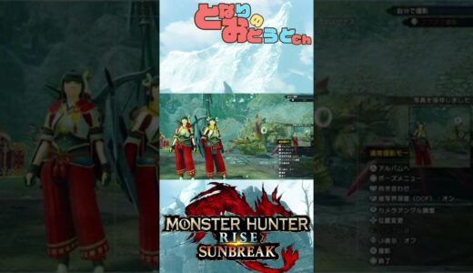 【Monster Hunter SunBreak】写真家ハンターの奮闘記　【モンハン】【モンスターハンターライズ】【サンブレイク】【となおとCh】#Shorts