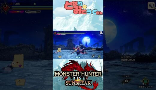 【Monster Hunter SunBreak】写真家ハンターの奮闘記　【モンハン】【モンスターハンターライズ】【サンブレイク】【となおとCh】#Shorts