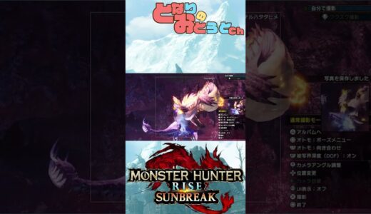 【Monster Hunter SunBreak】写真家ハンターの奮闘記　【モンハン】【モンスターハンターライズ】【サンブレイク】【となおとCh】#Shorts