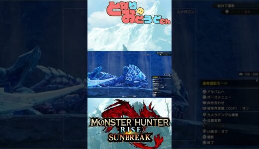 【Monster Hunter SunBreak】写真家ハンターの奮闘記　【モンハン】【モンスターハンターライズ】【サンブレイク】【となおとCh】#Shorts