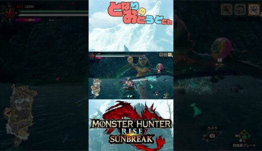 【Monster Hunter SunBreak】写真家ハンターの奮闘記　【モンハン】【モンスターハンターライズ】【サンブレイク】【となおとCh】#Shorts