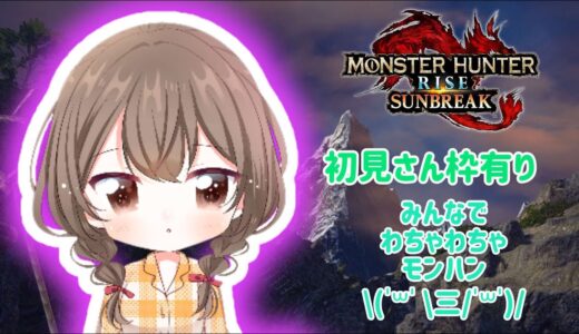 新しいメガネで遊ぶんですってよ　モンハンライズサンブレイク【Switch版】