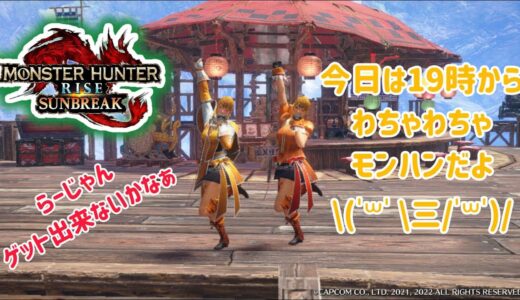 モンハンライズサンブレイク【Switch版】皆様のおかげでなんとか一ヵ月出来たんですってよ