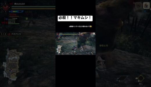 マキムシ　#モンハン #モンハンサンブレイク #モンハンライズ