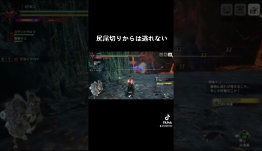 【モンハンライズサンブレイク】尻尾切りからは逃れない