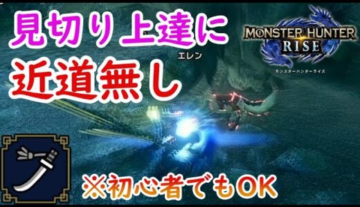 【モンハンライズ】太刀の見切り斬りが安定しない人にリオレイアさんが基礎を叩き込んでくれるようです