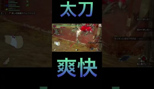 【モンハンライズ】太刀の気持ちいい瞬間