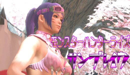 【モンスターハンターライズ サンブレイク】傀異調査クエストを中心にコツコツと仕事をこなしていく配信