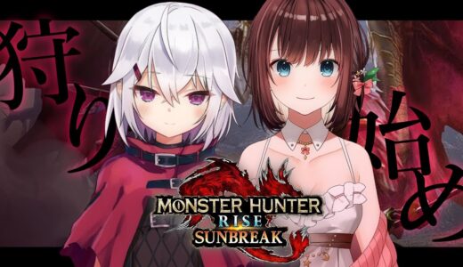 【モンハンライズ サンブレイク】新年最初の狩り始め‼【赤衣アカメ/ハコネクト】