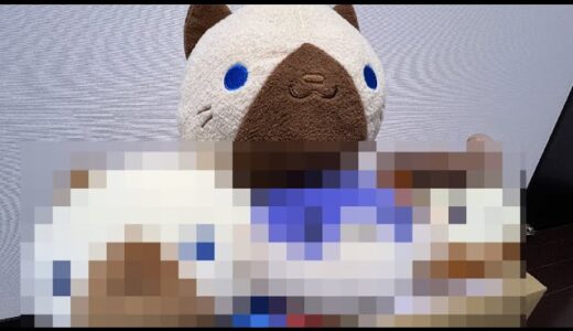 CAPCOM様からもらった非売品。【MHSB:モンスターハンターライズ：サンブレイク】