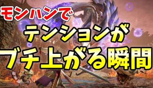 モンハンでテンションがぶち上がる瞬間【MHRise/モンスターハンターライズサンブレイク】