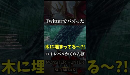 モンハンでかくれんぼしたら、世界大会レベルだったｗｗｗ【MHSB:モンスターハンターライズ：サンブレイク】#shorts