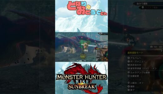 【Monster Hunter SunBreak】写真家ハンターの奮闘記　【モンハン】【モンスターハンターライズ】【サンブレイク】【となおとCh】#Shorts