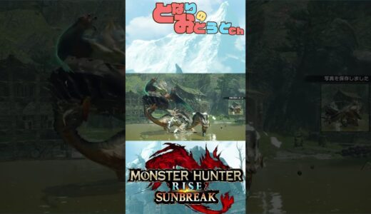 【Monster Hunter SunBreak】写真家ハンターの奮闘記　【モンハン】【モンスターハンターライズ】【サンブレイク】【となおとCh】#Shorts