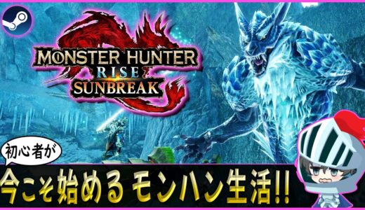 【#モンスターハンターライズ サンブレイク】今更始めるモンハン生活 略して今ハン【色々教えて】