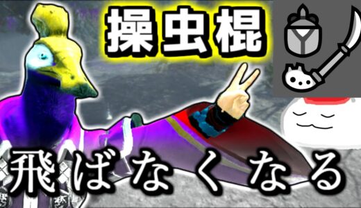操虫棍、飛ばなくなる。操虫棍で地上戦がしたい【モンスターハンターライズ：サンブレイク】（ゆっくり実況 地）