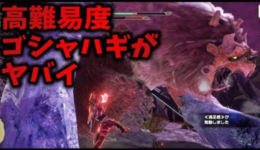 【サンブレイク】イベクエ重大事変再来!?超強化されたゴシャハギ参戦！「雪鬼獣とカーニバル」初見双剣【モンハンライズ：スペシャルプログラム】