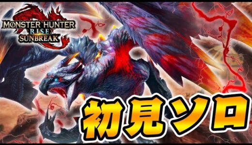 初見ソロで『傀異克服バルファルク』に挑んだ結果ｗｗｗ【モンハンサンブレイク】