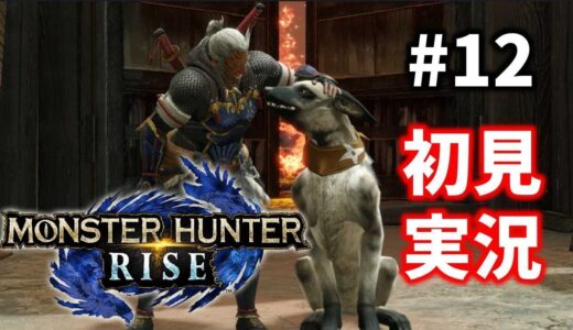 #12【モンハンライズ】集会所上位クエストをエンジョゥイ【初見プレイ／MHRise】