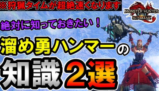 【サンブレイク】今更聞けない！？知っておくだけで装備問わず溜め勇ハンマーが格段に使いやすくなる知識2選【モンハンライズ】